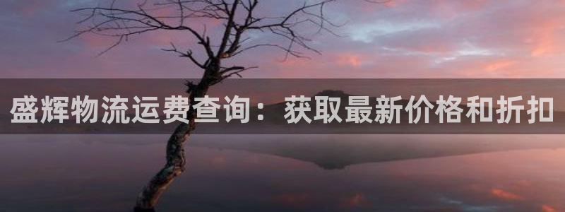 28圈注册入口与教程：盛辉物流运费查