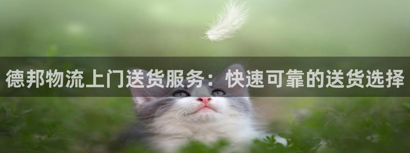 28圈网站平台是多少：德邦物流上门送
