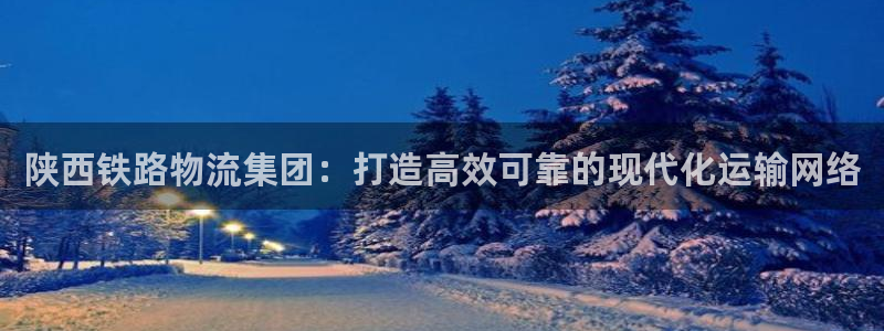 28圈游戏官网平台：陕西铁路物流集团