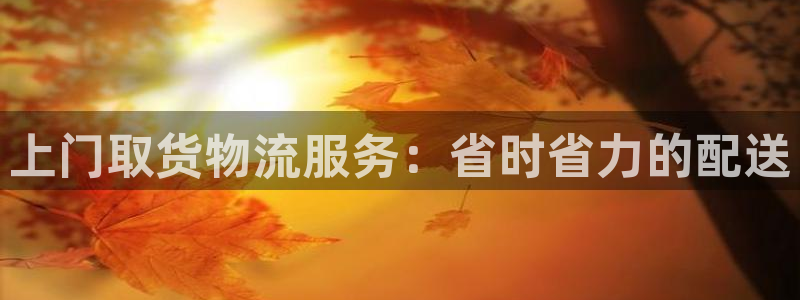28圈加拿大技巧：上门取货物流服务：