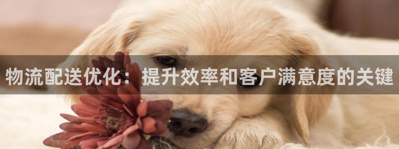 28圈初始资金密码在哪里改