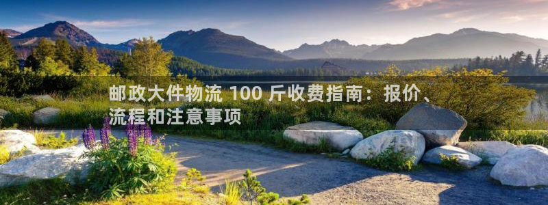 28圈注册平台：邮政大件物流 100