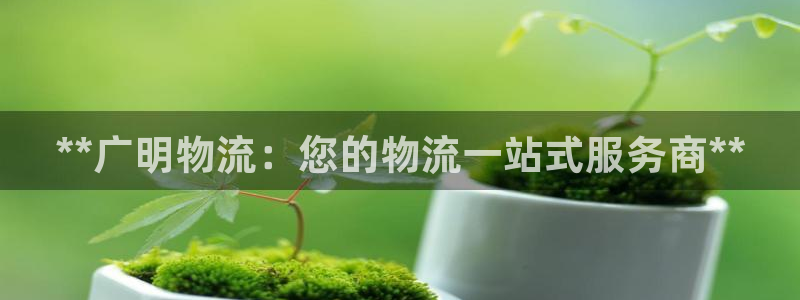 28圈自行车图片大全：**广明物流：