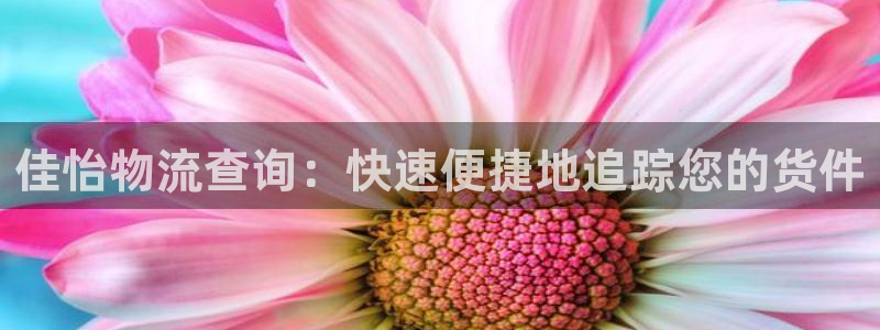 加拿大28圈数字规则：佳怡物流查询：