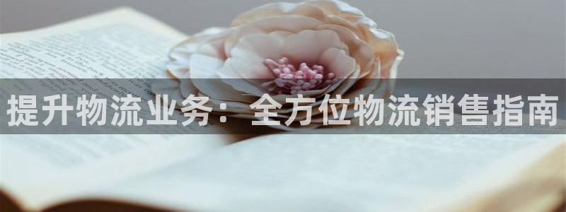 28圈网赌案件：提升物流业务：全方位