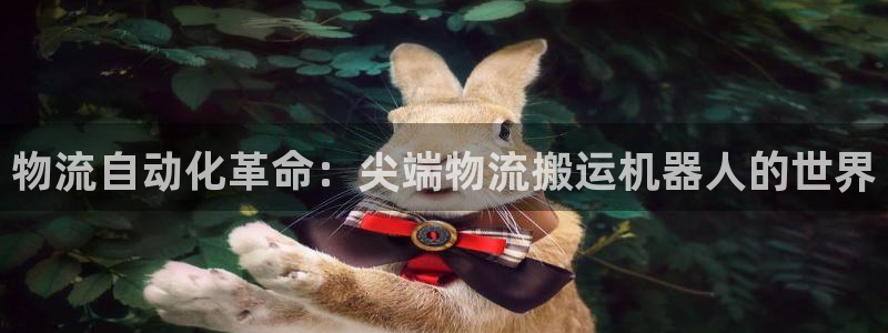 28圈官网注册：物流自动化革命：尖端
