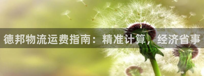 28圈cn