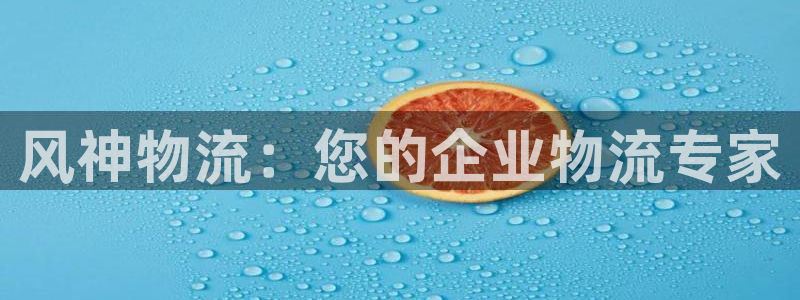 28圈反水：风神物流：您的企业物流专