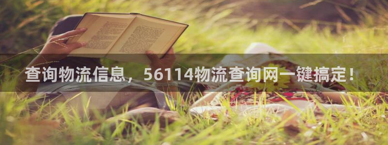 28圈加拿大模拟器：查询物流信息，5