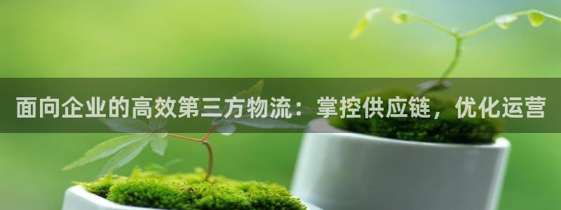 28圈官网版2024：面向企业的高效