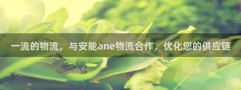 28圈吧：一流的物流，与安能ane物