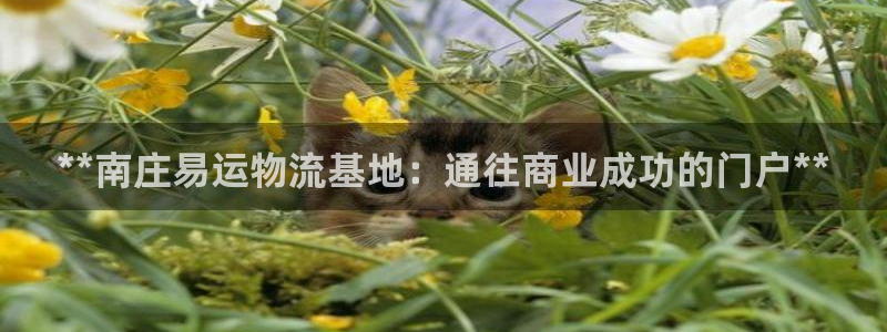 28圈加拿大官网：**南庄易运物流基