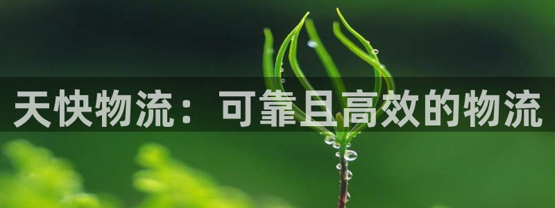 28圈电子