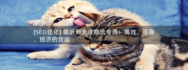 28圈赌博被抓