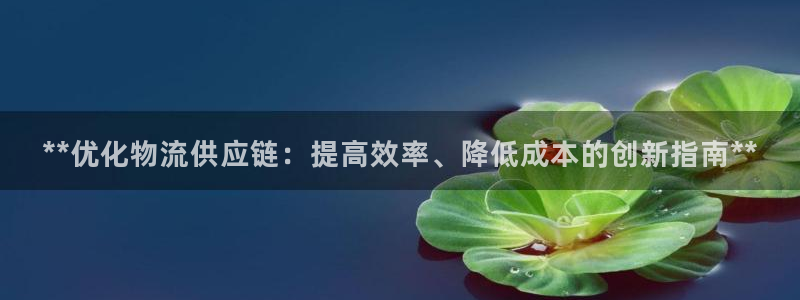 28圈自行车图片大全：**优化物流供