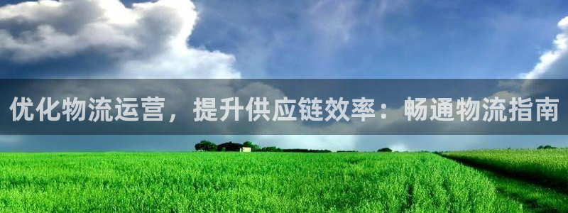28圈官网平台：优化物流运营，提升供
