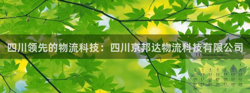28圈比特28真实吗