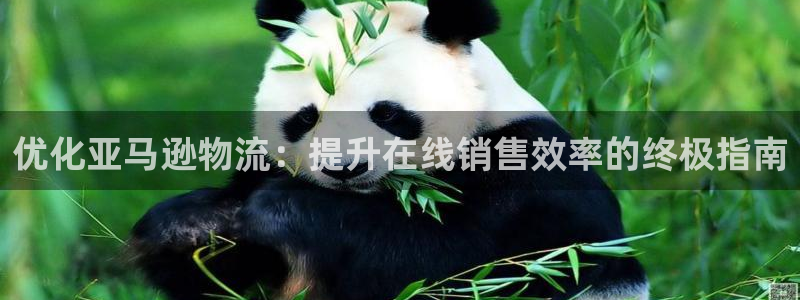 自行车28圈是什么意思