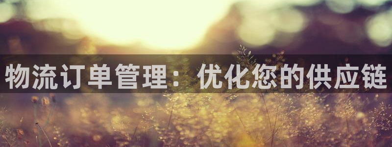 28圈黑款