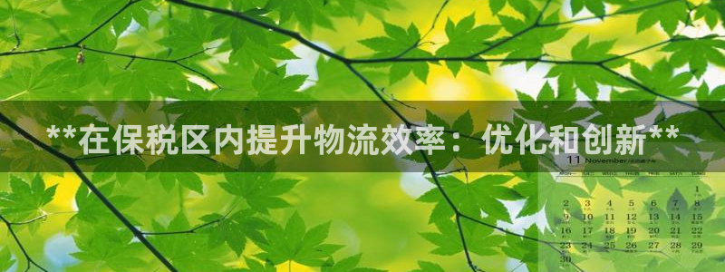 28圈开奖预测