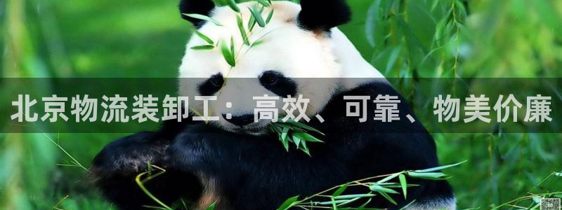28圈app能退款吗：北京物流装卸工