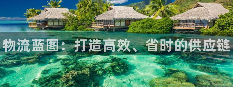 28圈是什么是赌博吗?：物流蓝图：打