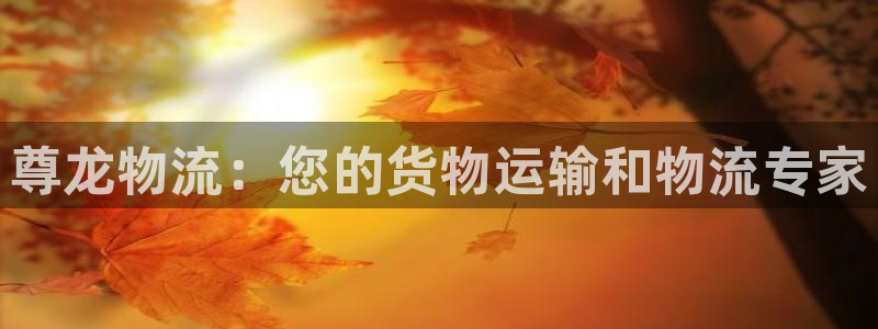 28圈注册网站链接怎么弄：尊龙物流：