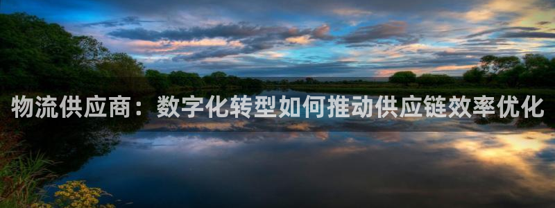 28圈怎么注册：物流供应商：数字化转