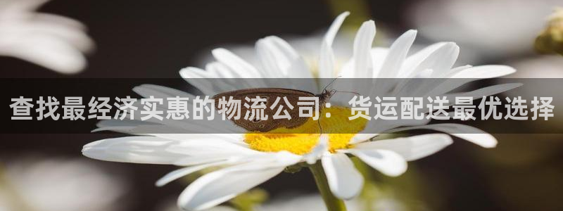 28圈软件是什么：查找最经济实惠的物