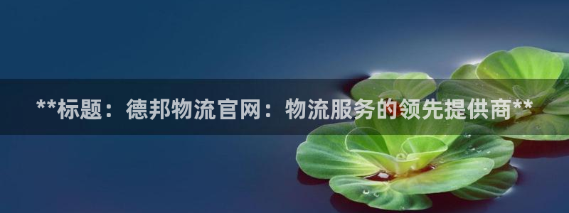 28圈官网网站：**标题：德邦物流官
