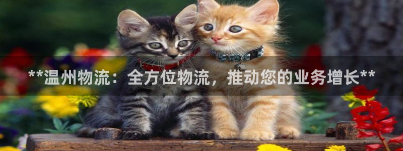 28圈加拿大能提现吗：**温州物流：