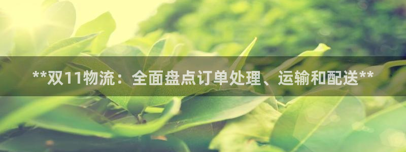 28圈电子游戏：**双11物流：全面