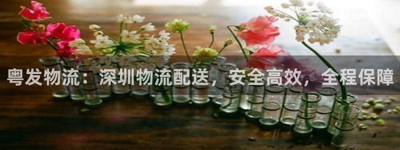 28圈登陆网：粤发物流：深圳物流配送