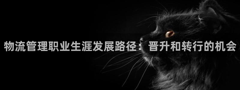 28圈预测：物流管理职业生涯发展路径