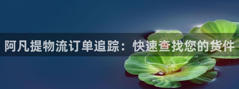 28圈下载体育：阿凡提物流订单追踪：