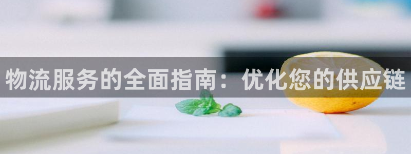 28圈怎么下载不了：物流服务的全面指