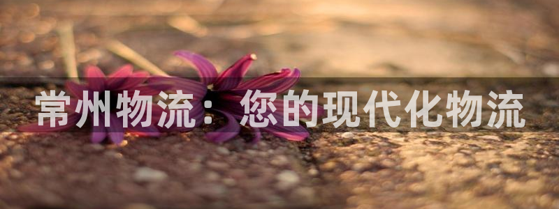 28圈黑平台吗：常州物流：您的现代化