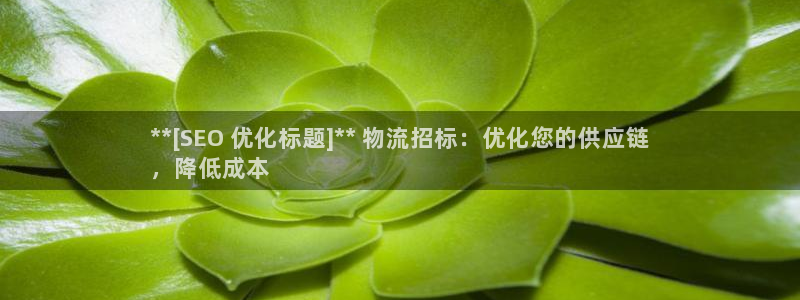 28圈代理落网：**[SEO 优化标
