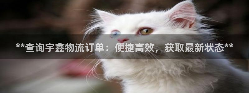 28圈模拟器在线使用：**查询宇鑫物