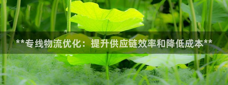 28圈防失联网址：**专线物流优化：