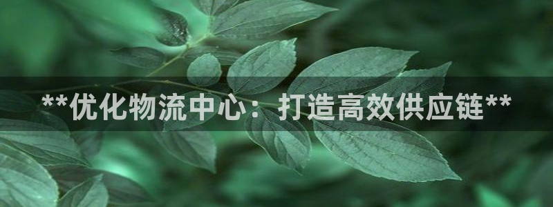 28圈注册链接：**优化物流中心：打造高效供应链**