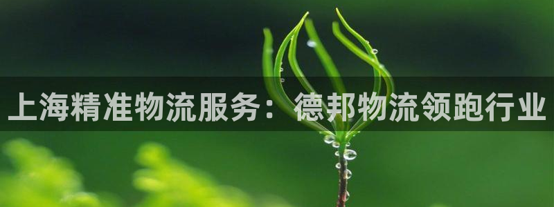 28圈加拿大6.0