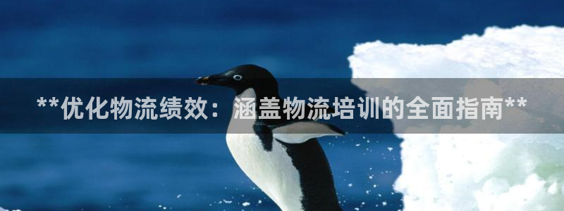 28圈预测：**优化物流绩效：涵盖物
