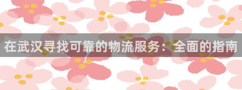 28圈h5链接：在武汉寻找可靠的物流