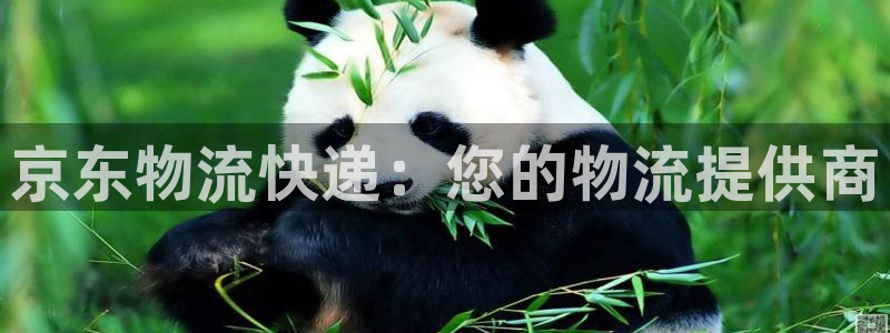 28圈如何看计划：京东物流快递：您的