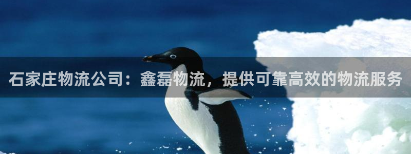 28圈是啥：石家庄物流公司：鑫磊物流