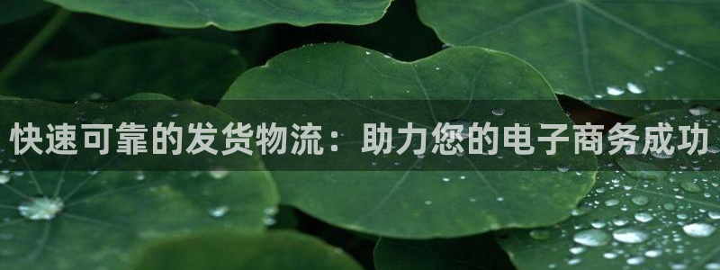 28圈在线预测官网：快速可靠的发货物