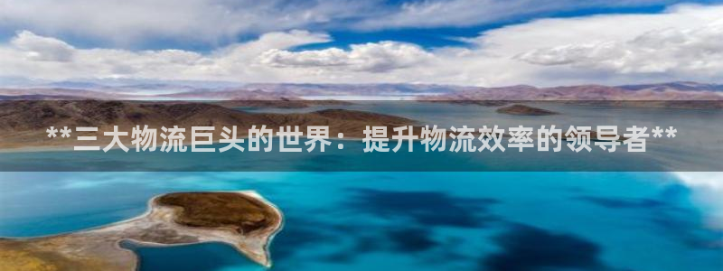 28圈是正规软件吗：**三大物流巨头