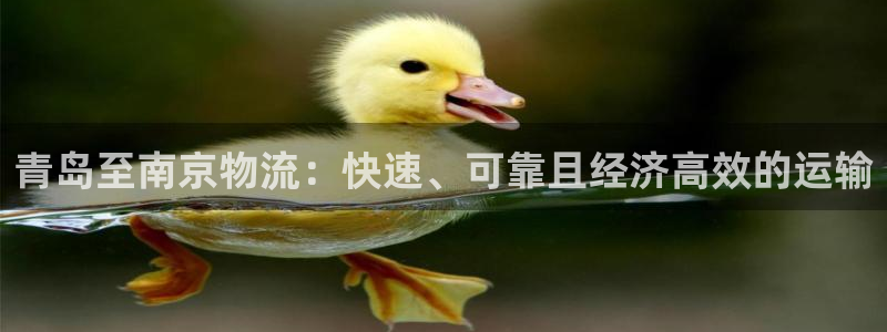 28圈赌博被抓：青岛至南京物流：快速