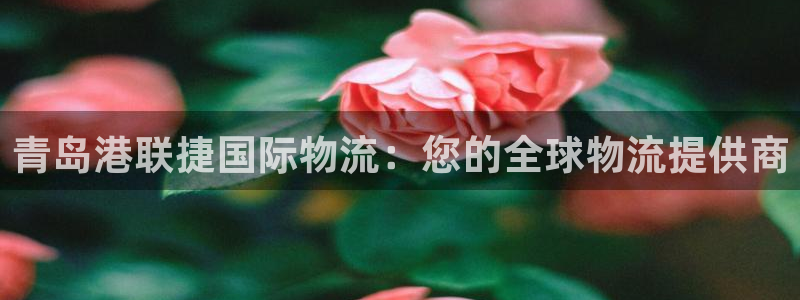 28圈加拿大app预测：青岛港联捷国